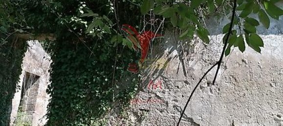 Дом с 7 спальнями в Марку ди Канавезиш, Португалия № 39572 28