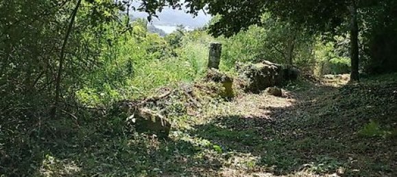 Дом с 7 спальнями в Марку ди Канавезиш, Португалия № 39572 4