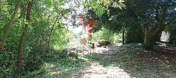 Дом с 7 спальнями в Марку ди Канавезиш, Португалия № 39572 20