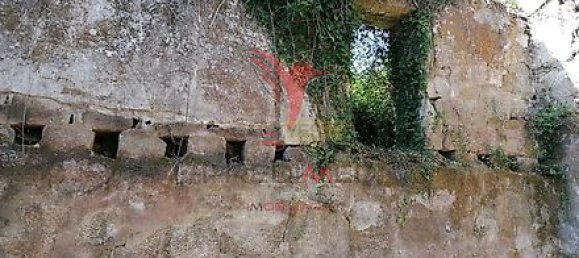 Дом с 7 спальнями в Марку ди Канавезиш, Португалия № 39572 26