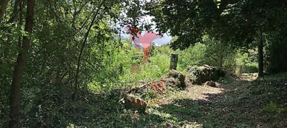 Дом с 7 спальнями в Марку ди Канавезиш, Португалия № 39572 16