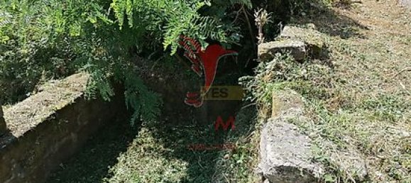 Дом с 7 спальнями в Марку ди Канавезиш, Португалия № 39572 29