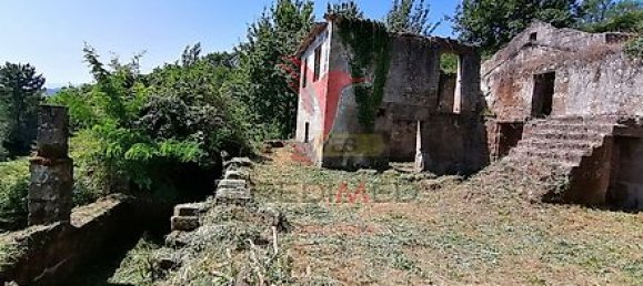 Дом с 7 спальнями в Марку ди Канавезиш, Португалия № 39572 5