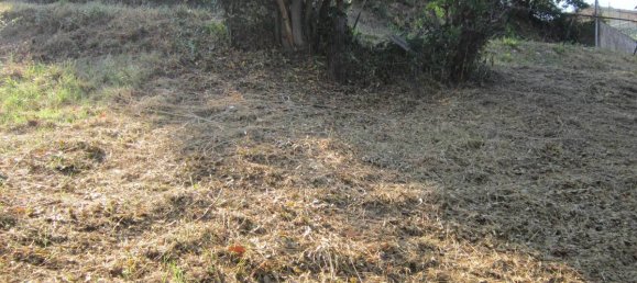 1 غرف نوم منزل في Schiavi di Abruzzo, Italy رقم 357105 12