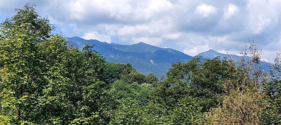 3 Schlafzimmer Haus in Mendatica, Italy, Nr. 380524 13