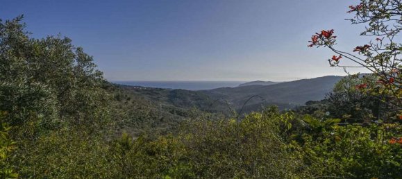 1 bedroom Apartment in Villa Faraldi, Italy No. 235833 24