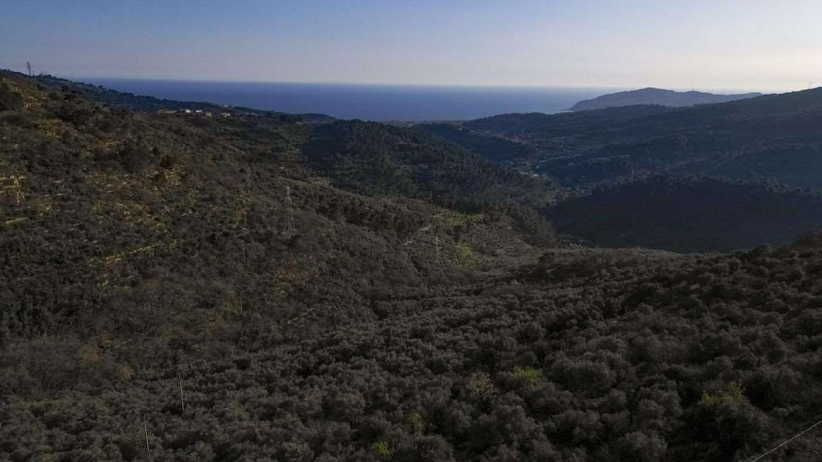 1 bedroom Apartment in Villa Faraldi, Italy No. 235833