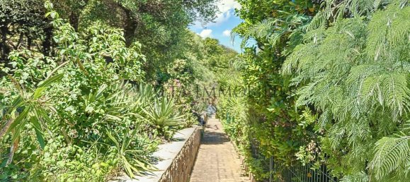 3 bedrooms Villa in Porto-Vecchio, France No. 65965 32