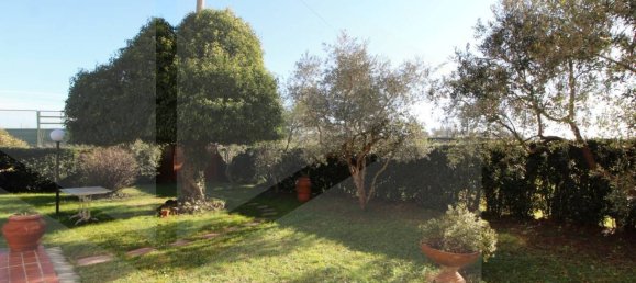 3 غرف نوم منزل في Pontedera, Italy رقم 18252 34