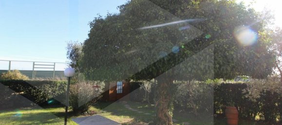 3 غرف نوم منزل في Pontedera, Italy رقم 18252 35