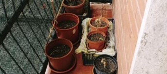 2-Zimmer Wohnung in Varese, Italy, Nr. 315048 12