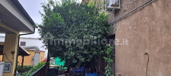 2 rooms Commercial property in Genzano di Roma, Italy No. 292076 4