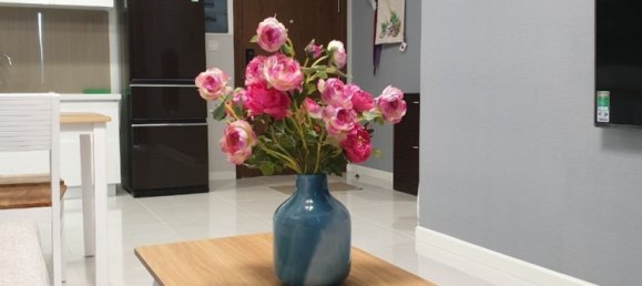 2 bedrooms Apartment in Thu Duc, Vietnam No. 16873 3