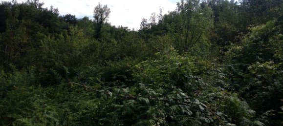 Terreno en Montemarano, Italy 30000 m² No. 173477 32