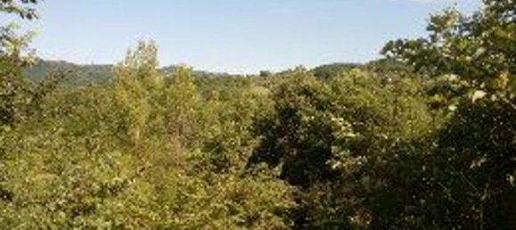 Terreno en Montemarano, Italy 30000 m² No. 173477 19