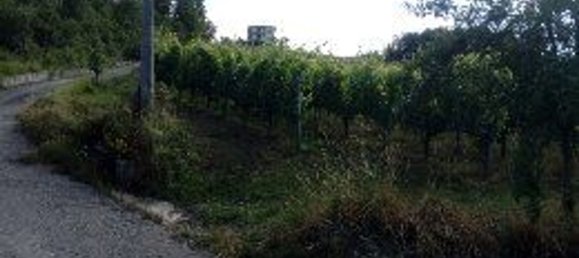 Terreno en Montemarano, Italy 30000 m² No. 173477 22