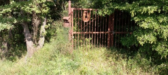 Terreno en Montemarano, Italy 30000 m² No. 173477 16