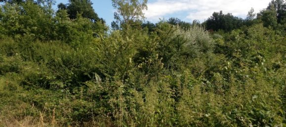 Terreno en Montemarano, Italy 30000 m² No. 173477 2