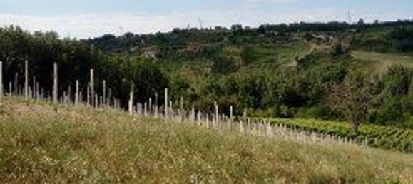 Terreno en Montemarano, Italy 30000 m² No. 173477 26