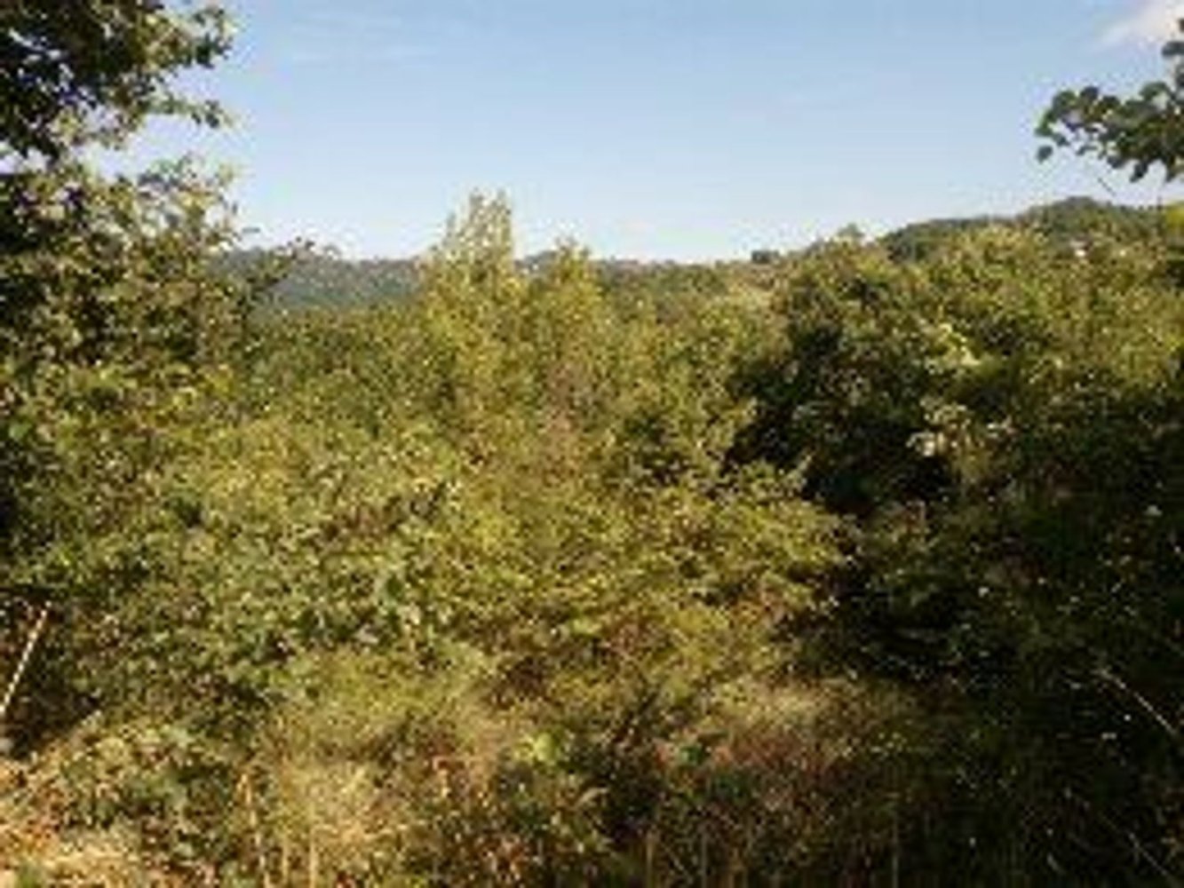 Terreno en Montemarano, Italy 30000 m² No. 173477