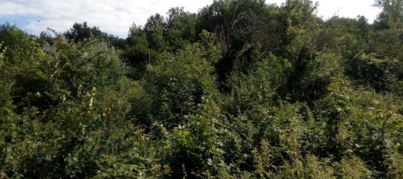 Terreno en Montemarano, Italy 30000 m² No. 173477 29