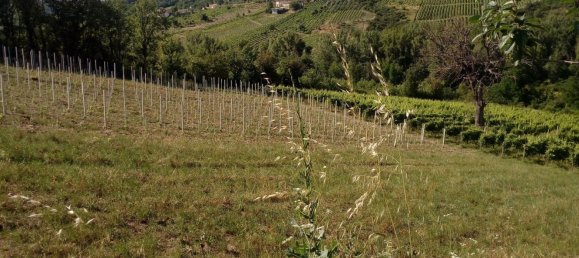 Terreno en Montemarano, Italy 30000 m² No. 173477 31