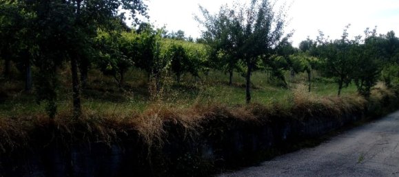 Terreno en Montemarano, Italy 30000 m² No. 173477 12