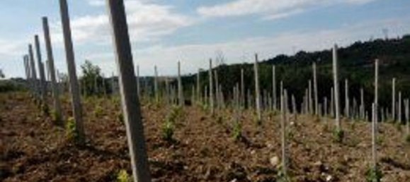 Terreno en Montemarano, Italy 30000 m² No. 173477 24