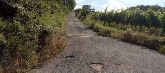 Terreno en Montemarano, Italy 30000 m² No. 173477 7