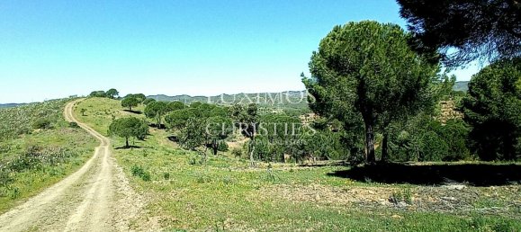 Terreno en Sao Bartolomeu de Messines, Portugal 803239 m² No. 10247 7