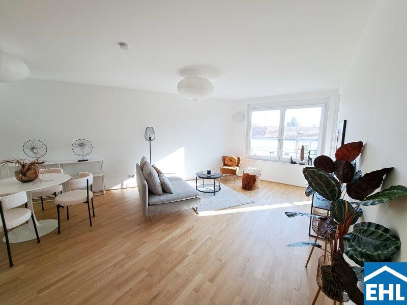 4 rooms Commercial property in Deutsch-Wagram, Austria No. 82288