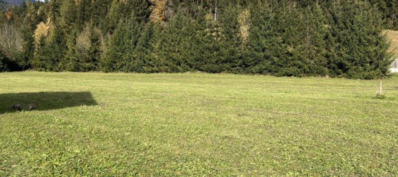 Terreno em Bad Mitterndorf, Austria N.º 52127 11