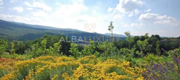 14 bedrooms Villa in Casole d'Elsa, Italy No. 490 12