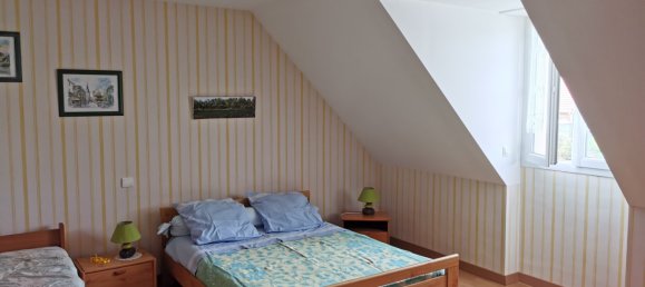 5 chambres Maison à Romorantin-Lanthenay, France No. 153203 6