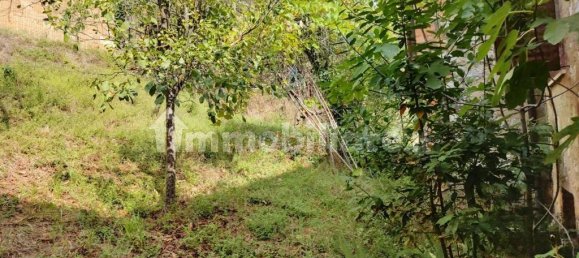 3 bedrooms House in Montalcino, Italy No. 76100 35