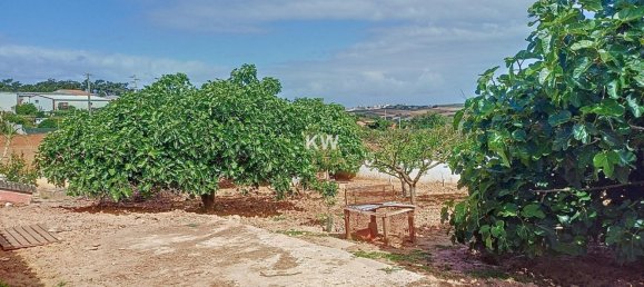 4 bedrooms House in Lourinha, Portugal No. 91623 17