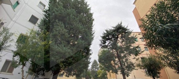 Коммерческая недвижимость с 4 комнатами в Бари, Италия № 20025 29