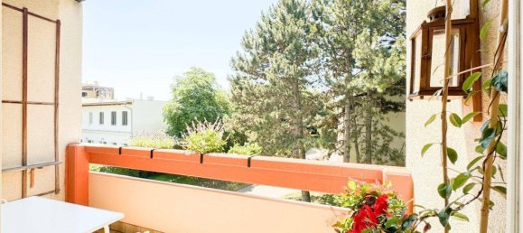 5 rooms Apartment in Baden, Austria No. 198002 3