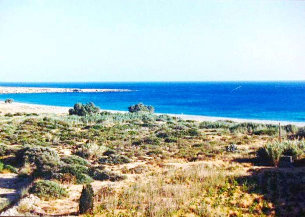 Отель, гостиница в Ласитион, Греция № 830