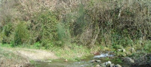  قطعة أرض في Ponte da Barca, Portugal 5430متر مربع رقم 58548 2