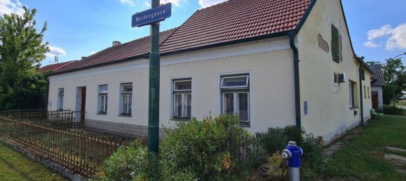 6 rooms House in Palterndorf-Dobermannsdorf, Austria No. 199463 8