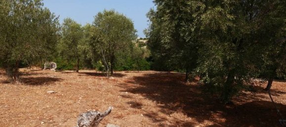 3 bedrooms Villa in Polignano a Mare, Italy No. 335700 20