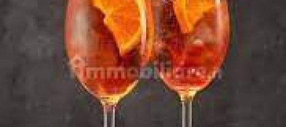 1 room Commercial property in Chioggia, Italy No. 228352 6