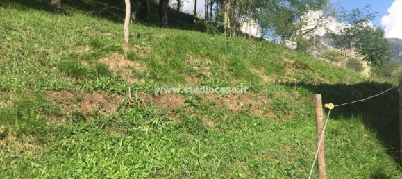 4 rooms House in Blello, Italy No. 154997 16