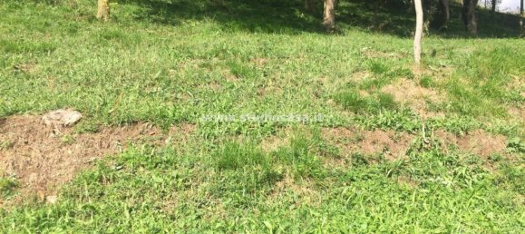 4 rooms House in Blello, Italy No. 154997 15