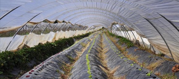 Propiedad en Corfu, Greece 115 m² No. 7565 6