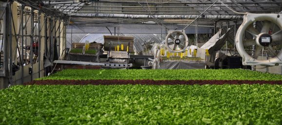 Propiedad en Corfu, Greece 115 m² No. 7565 3