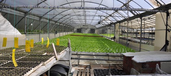 Propiedad en Corfu, Greece 115 m² No. 7565 5