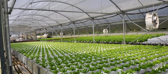 Propiedad en Corfu, Greece 115 m² No. 7565 2