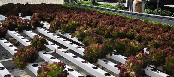 Propiedad en Corfu, Greece 115 m² No. 7565 4